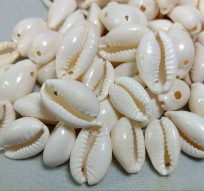 cowrie shells